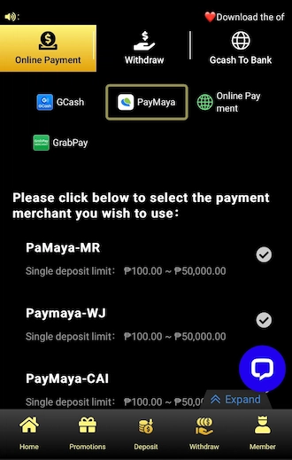 Step 1: Newbies, after accessing the payment interface, select the method as PayMaya. Then choose a PayMaya payment order suggested below.