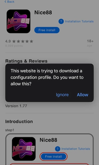 Step 3: A notification will appear on the iPhone screen that the website is trying to download a profile. Click on “Allow” on the notification.
